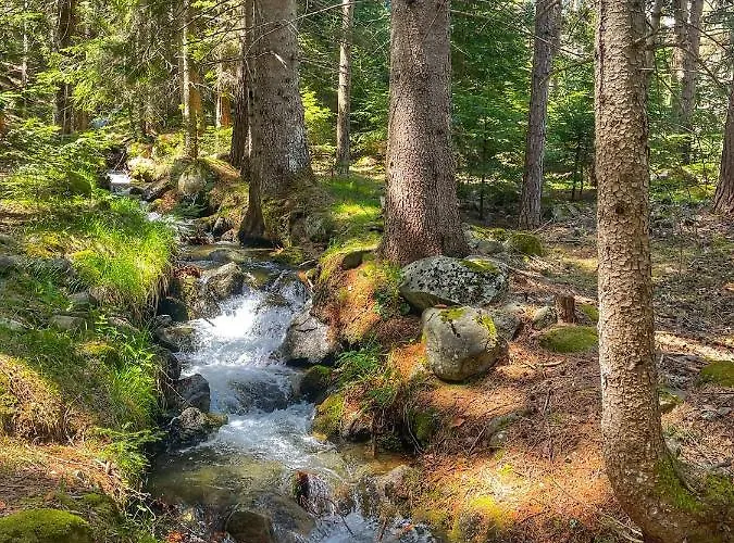 парк панорама Хотел