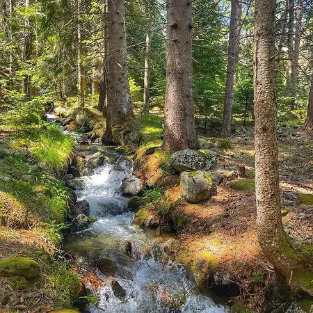 Park Panorama ホテル