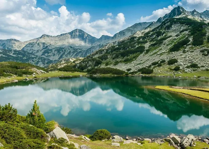 Хотел парк панорама