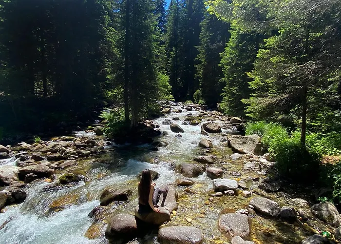 Хотел парк панорама Банско